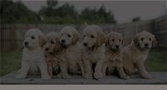 Desktop Screenshot of minigoldendoodle.com